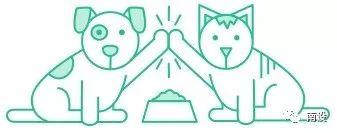 设计宠物减肥应用程序的分步指南