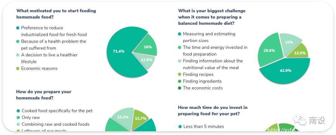 设计宠物减肥应用程序的分步指南