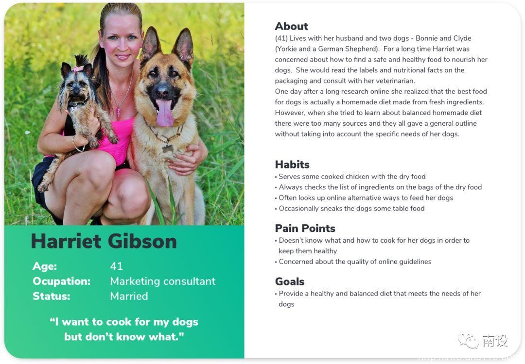 设计宠物减肥应用程序的分步指南