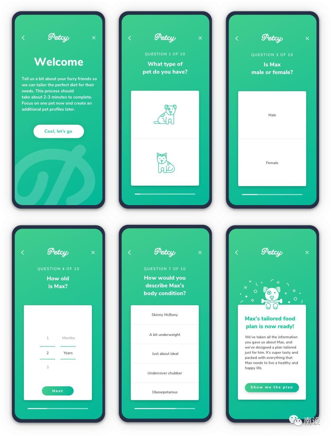 设计宠物减肥应用程序的分步指南