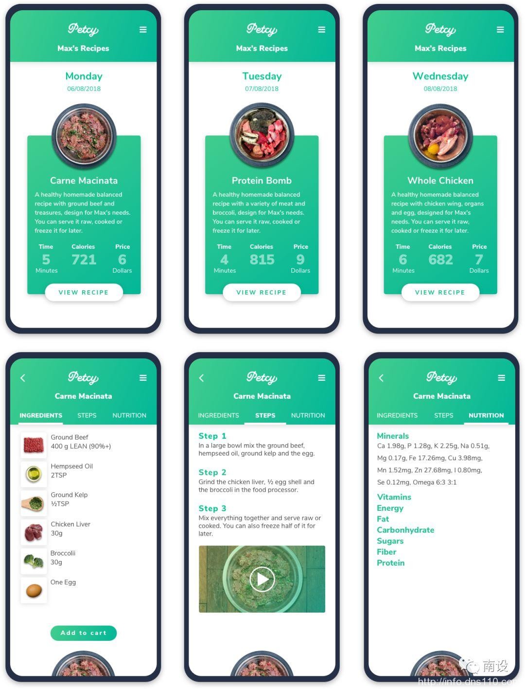 设计宠物减肥应用程序的分步指南