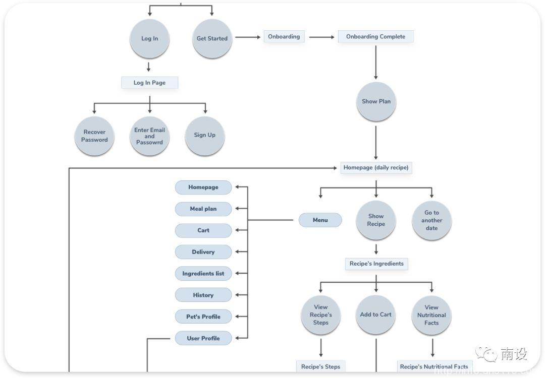 设计宠物减肥应用程序的分步指南