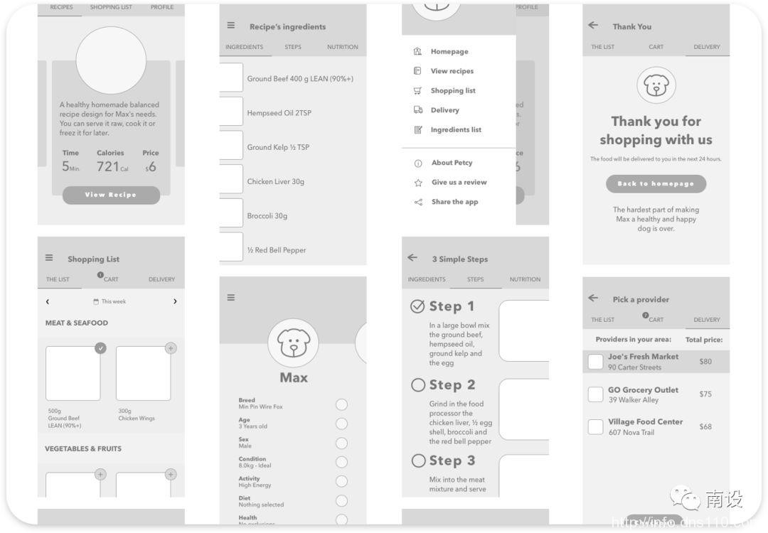 设计宠物减肥应用程序的分步指南