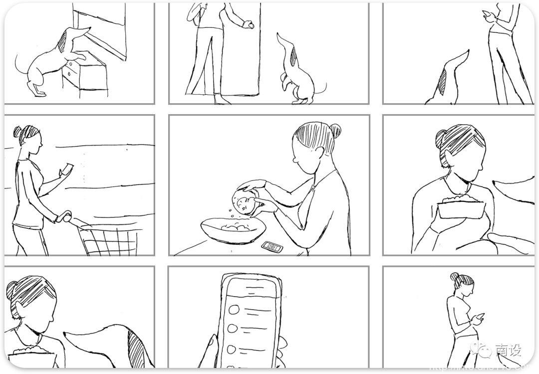 设计宠物减肥应用程序的分步指南