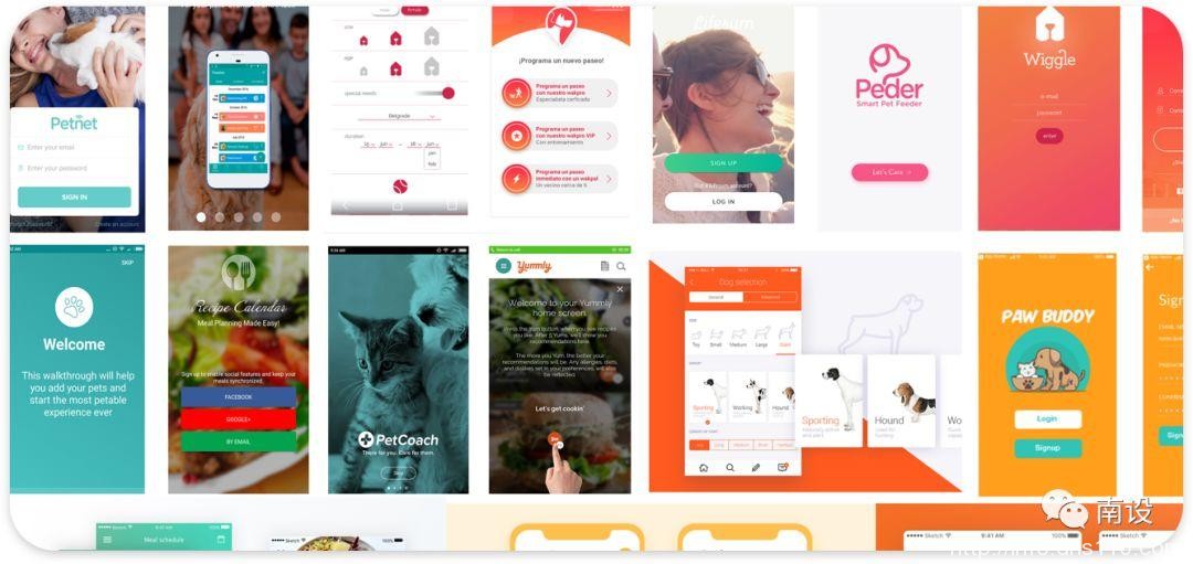 设计宠物减肥应用程序的分步指南