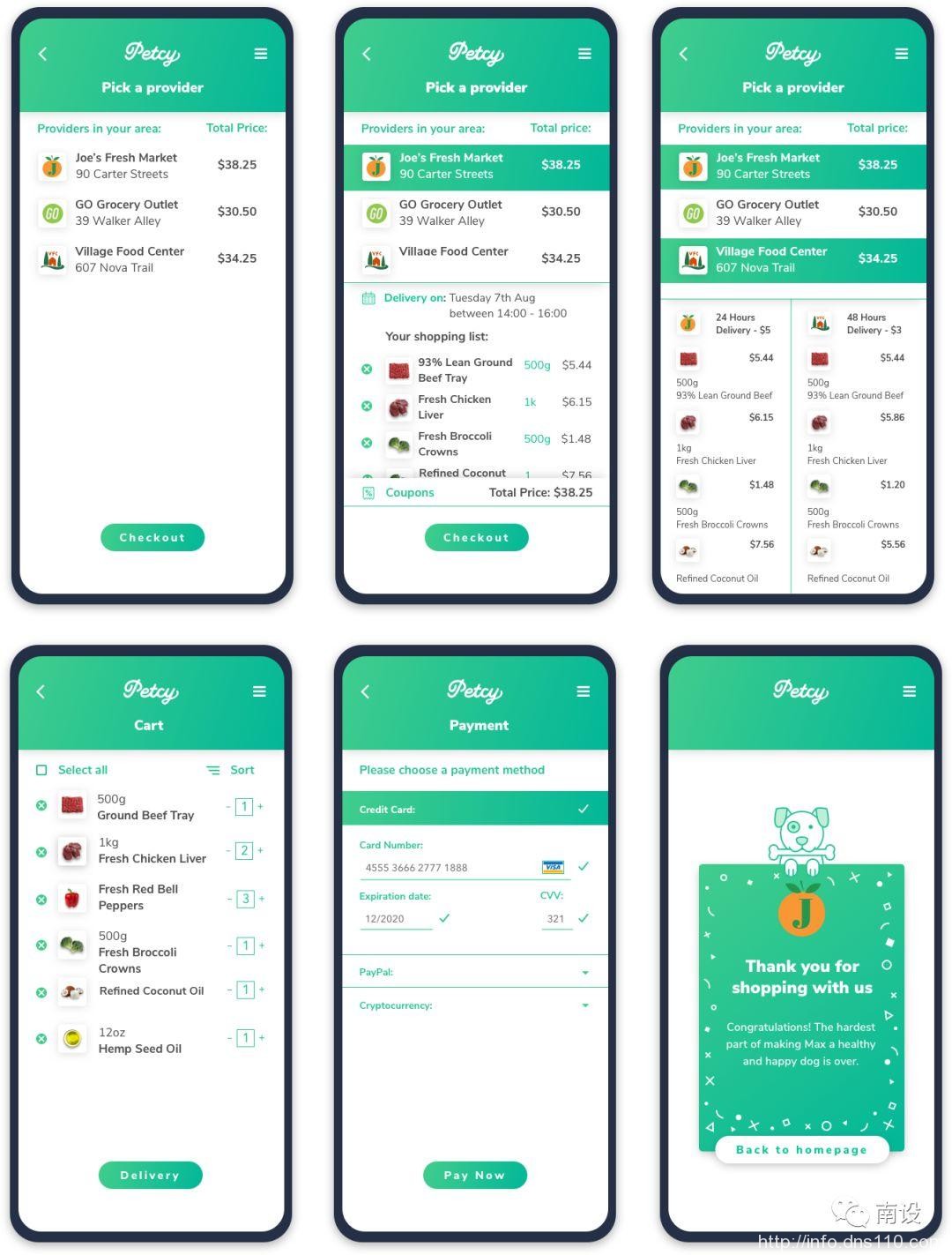 设计宠物减肥应用程序的分步指南