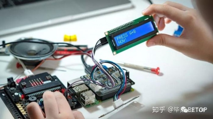 ��ݮ����������2019��Ⱦ�ѡ��Ŀ